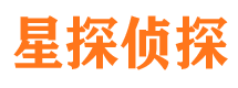 西乡市侦探